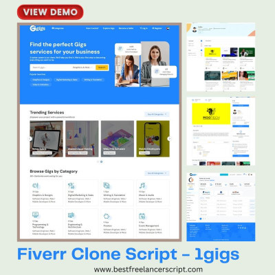 Launch Your Own Freelance Marketplace with the Fiverr Clone Script Profile Picture