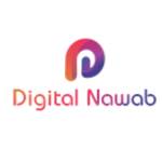 Digital Nawab profile picture